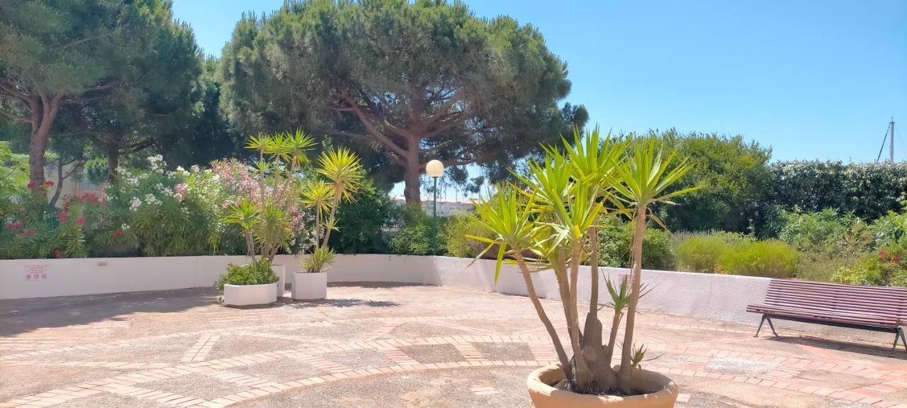 Studio Cap D'Agde La Grande Voile Ngoại thất bức ảnh